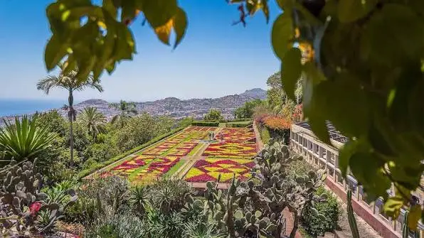 jardim botanico da madeira